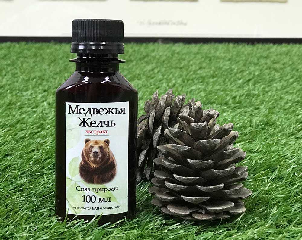 Как следует правильно хранить медвежью желчь | что и как хранить