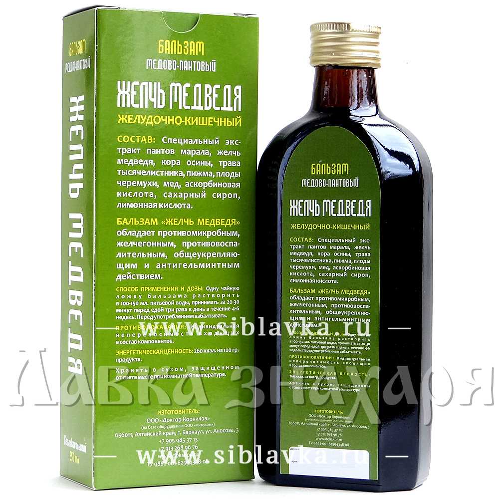 Медвежья желчь: лечебные свойства, применение в народной медицине и противопоказания к употреблению
