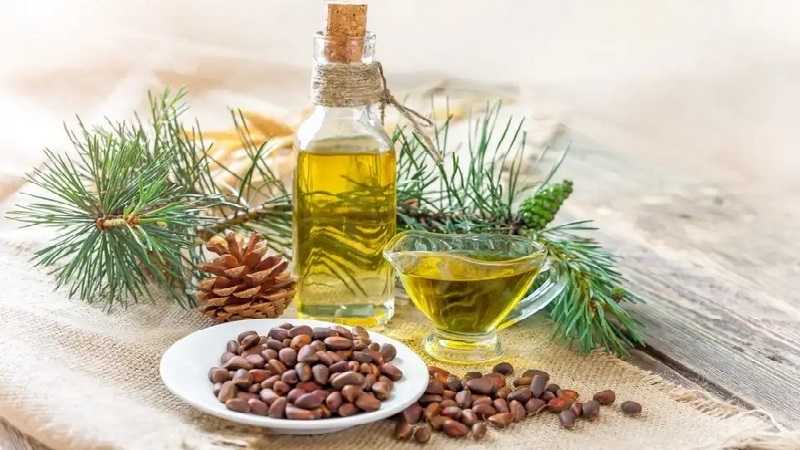 Кедровое масло: лечебные, полезные свойства и противопоказания, отзывы о применении