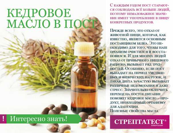 Кедровое масло: 16 полезных свойств, состав, способы применения в медицине и косметологии