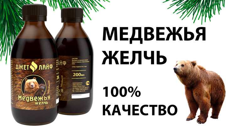 Медвежья желчь: лечебные свойства и противопоказания, применение для мужчин, женщин, детей, при беременности | народная медицина