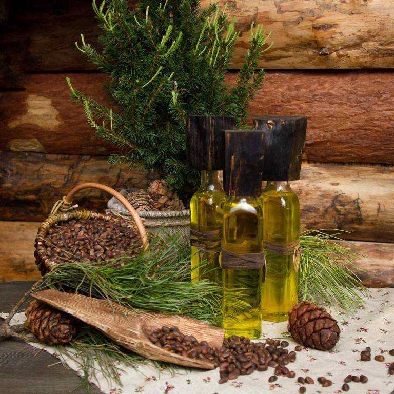 Кедровое масло: польза и вред, как принимать