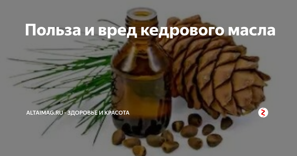 Кедровое масло, масло кедрового ореха, действие, применение