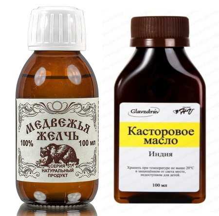 Медвежья желчь - лечебные свойства и противопоказания. как приготовить и принимать настойку из медвежьей желчи