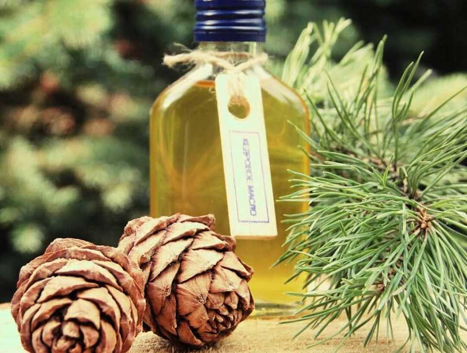 16 уникальных свойств кедрового масла, о которых вы не знали