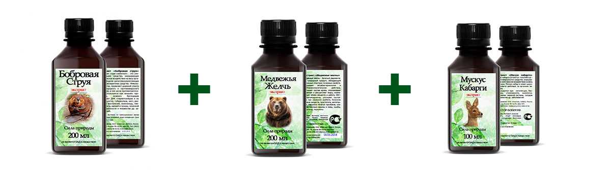 Медвежья желчь лечебные свойства