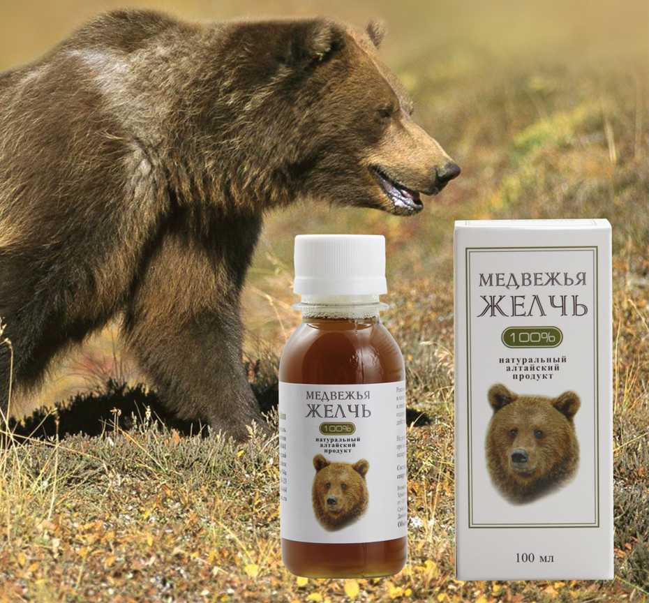 Как вырезать желчный пузырь у медведя