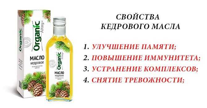 Масло кедровое. масло живицы кедровой. польза и вред. применение
