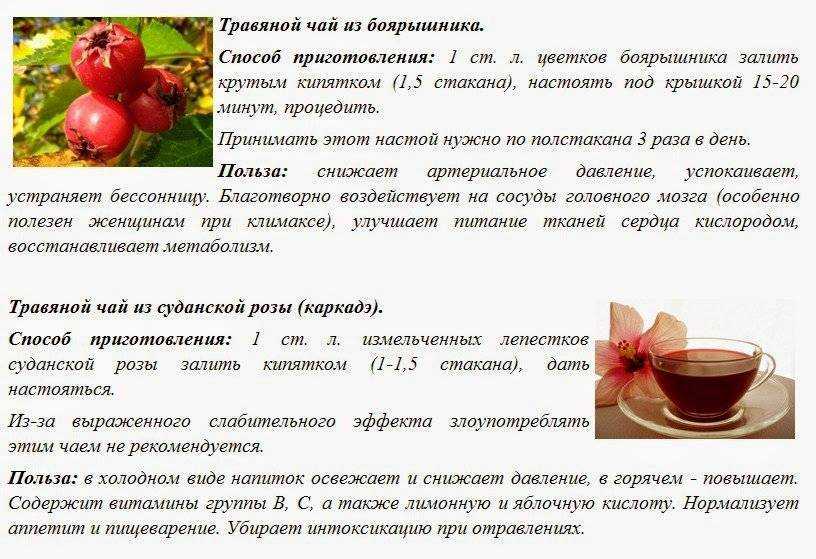 Как правильно заваривать боярышник