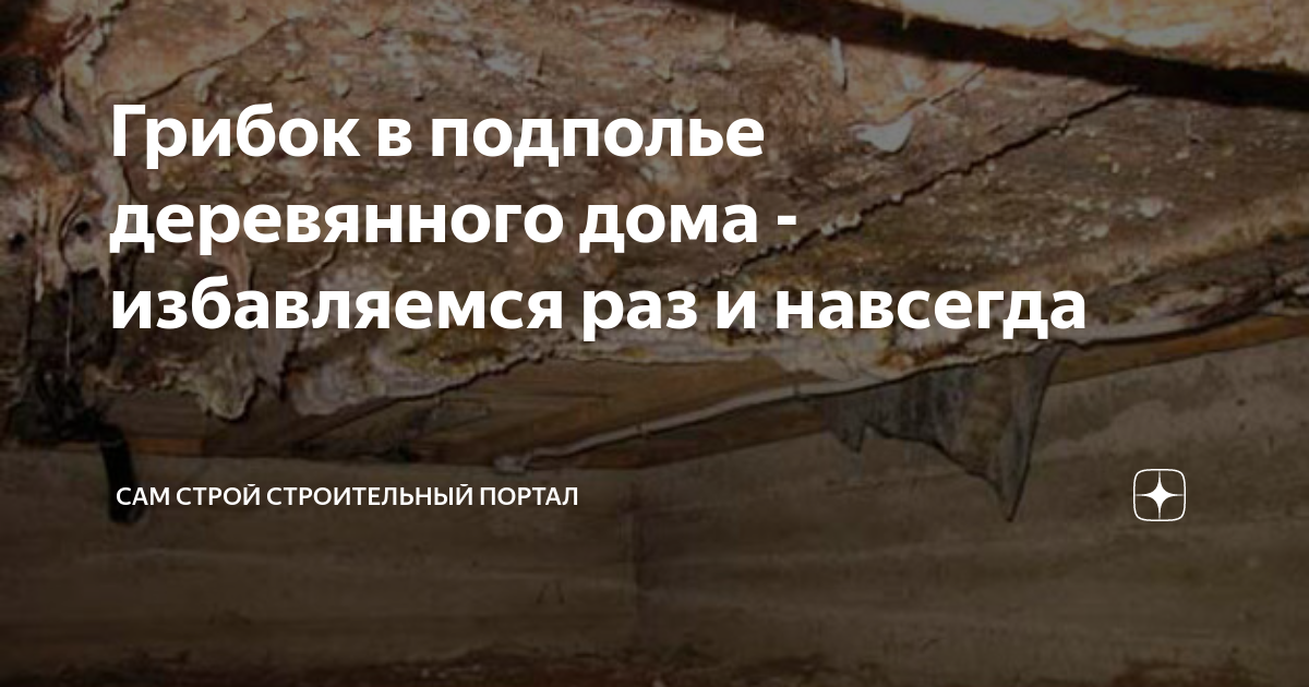 Как убрать плесень с дерева быстро и эффективно Какую технику безопасности нужно соблюсти перед началом работ Чем обработать брус от грибка и плесени Какую антисептическую продукцию нужно использовать