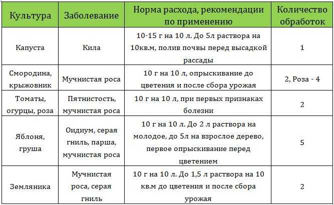Как правильно полить лук метронидазолом - агро журнал pole39.ru