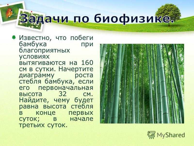 Основные отделы растений. особенности строения и жизнедеятельности. | егэ по биологии