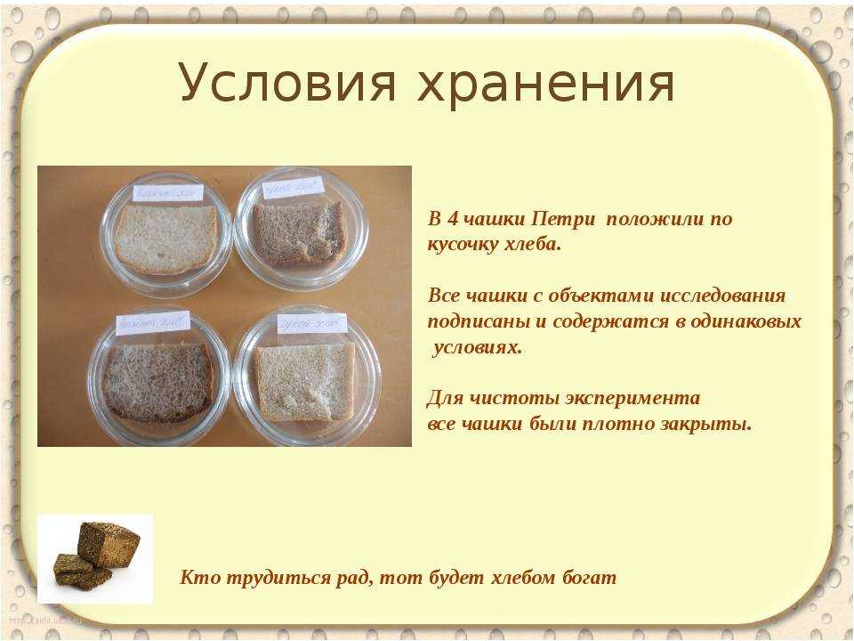 Можно ли замораживать дрожжи хлебопекарные прессованные и живые, как их сушить и сколько можно хранить перед использованием