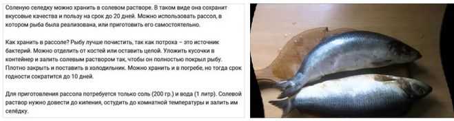 Как нужно хранить селедку соленую дома в холодильнике