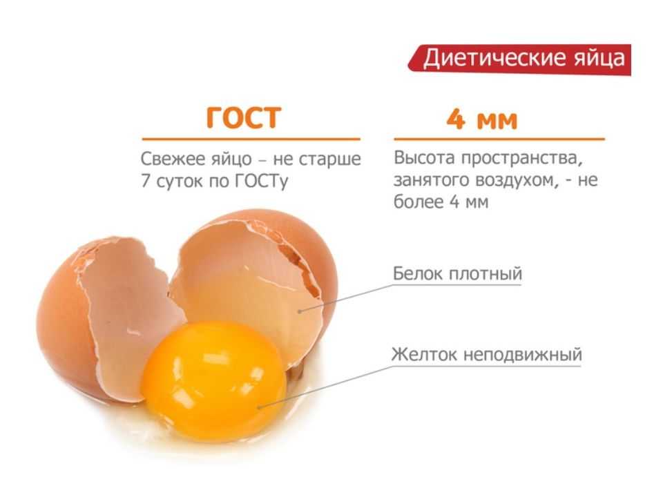 Категории куриных яиц: чем отличаются, классификация и масса, какие лучше