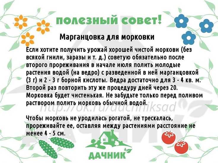 Йод – лечение огурцов без химии