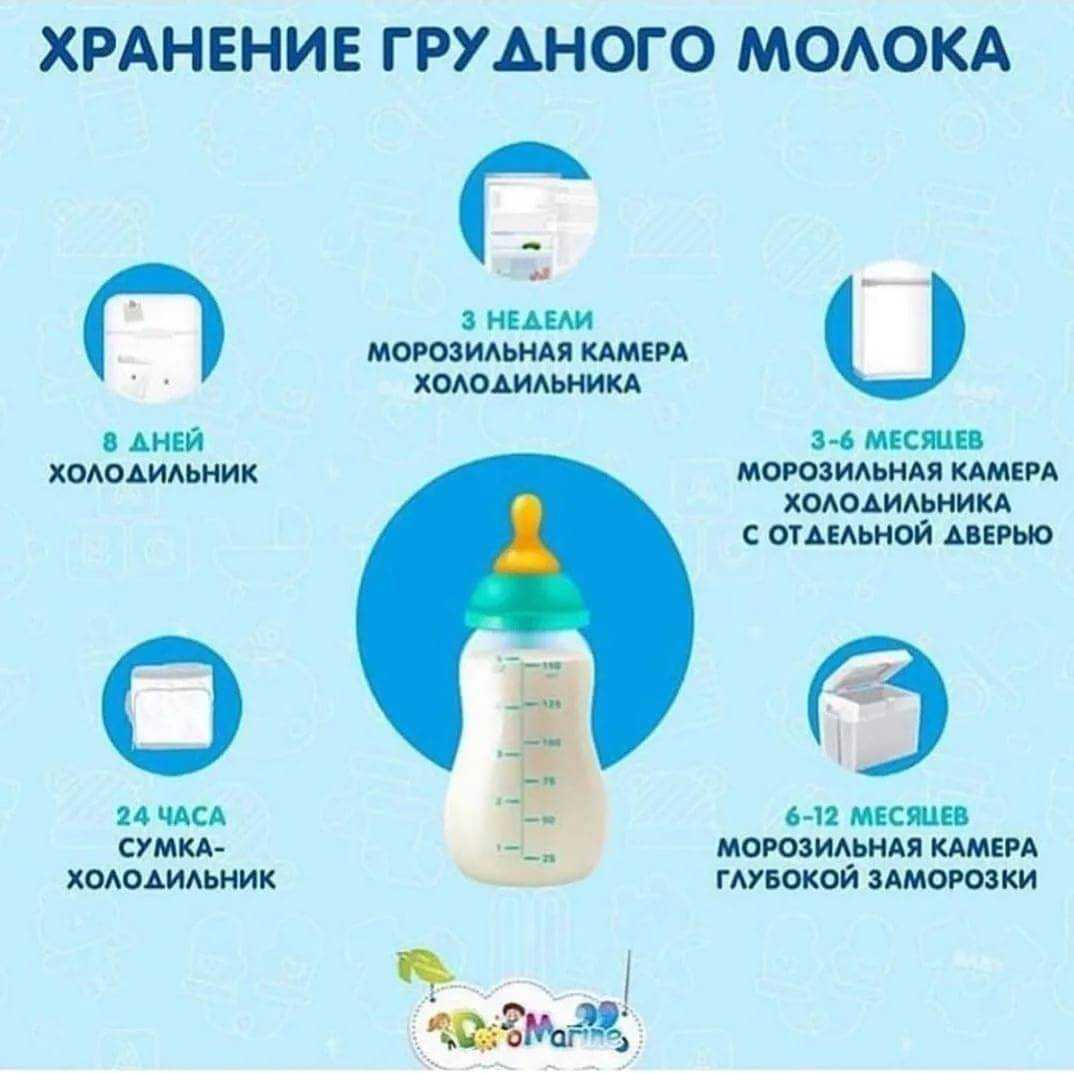 Важно знать! сколько хранится грудное молоко в холодильнике и при комнатной температуре