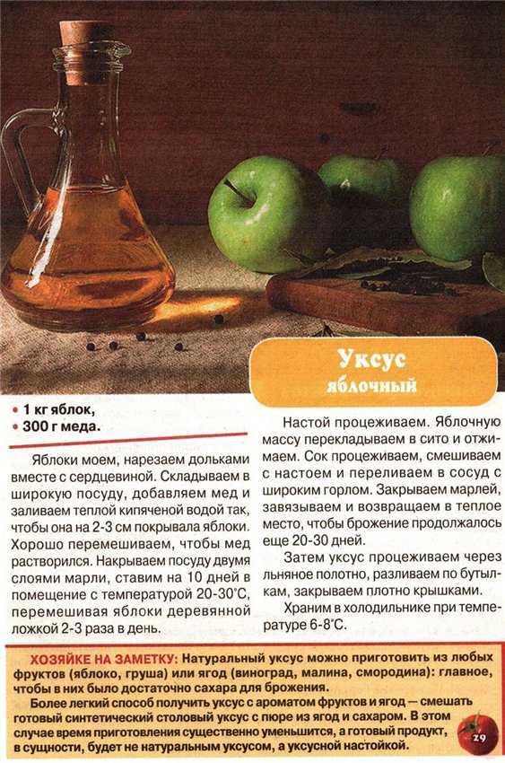 Яблочный уксус польза и вред для здоровья человека