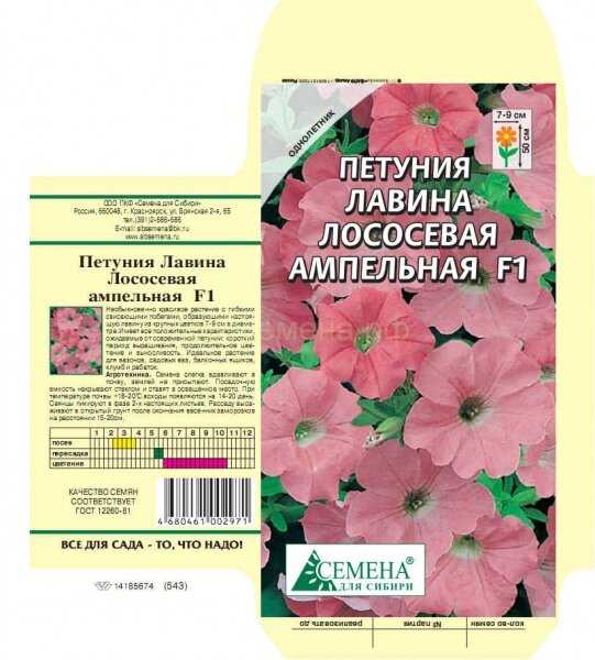 Петунии рассадой, когда и как сеять семена петунии на рассаду | сад и огород
петунии рассадой, когда и как сеять семена петунии на рассаду | сад и огород
