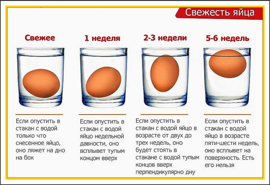 Сколько хранятся вареные яйца в холодильнике, и как проверить на свежесть сырые