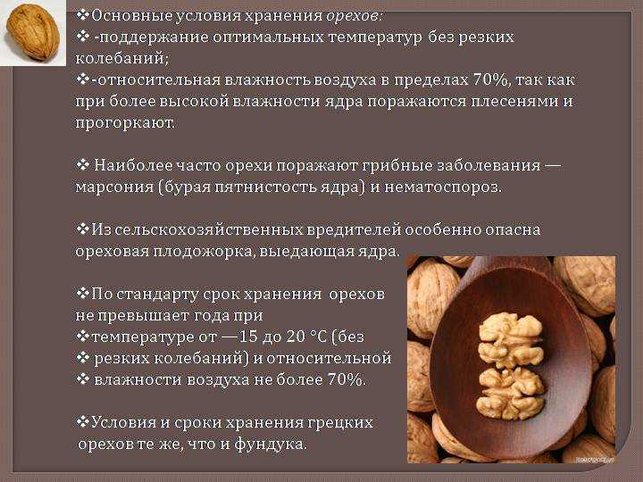 Арахисовая паста — состав, количество калорий и полезных веществ