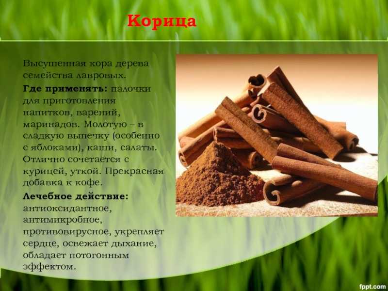 Корица для растений как стимулятор роста