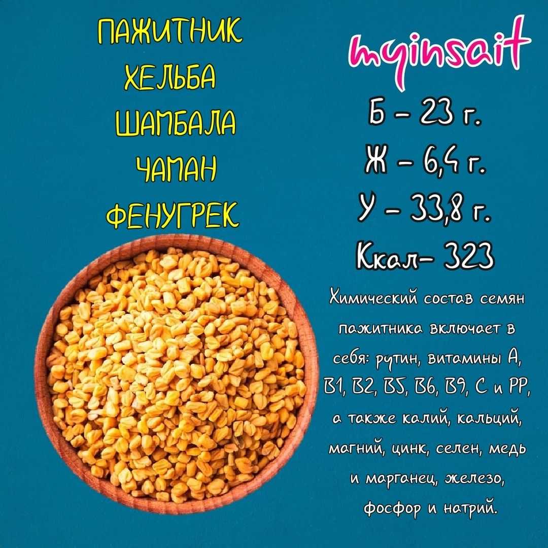 Пажитник – полезные свойства и противопоказания, применение шамбалы