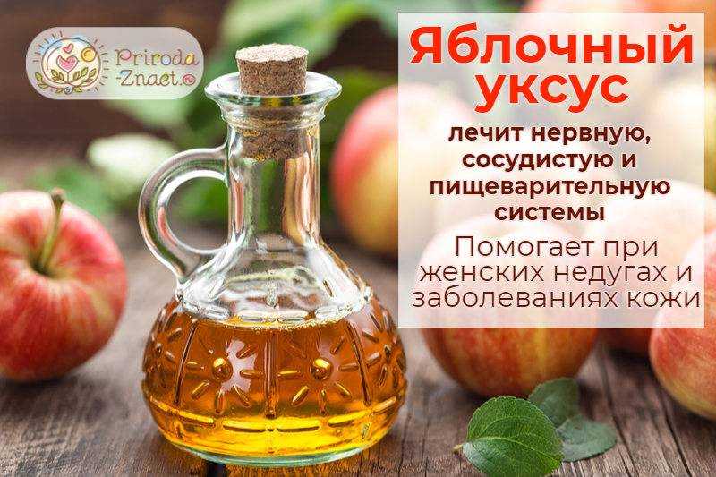 Как пить яблочный уксус для похудения и что из этого получится
