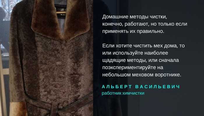 12 проверенных способов почистить мех норки, песца или любой другой
