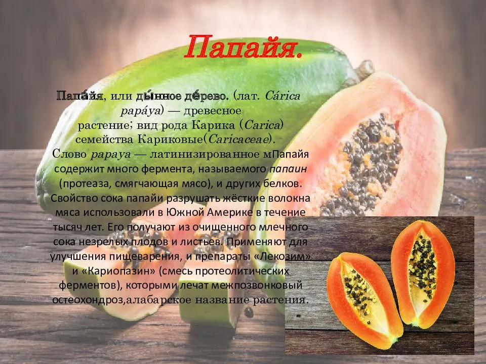 Папайя - польза, вред, рецепты, как едят папайю