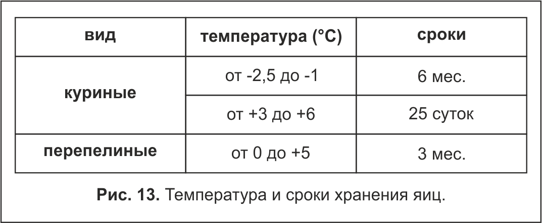 Яйца – один из самых востребованных продуктов на кухне Их редко покупают с точностью до штуки, обычно приобретают с запасом, а затем держат дома Но, также как у любых продуктов, у них есть гарантийные сроки хранения и способы их продления