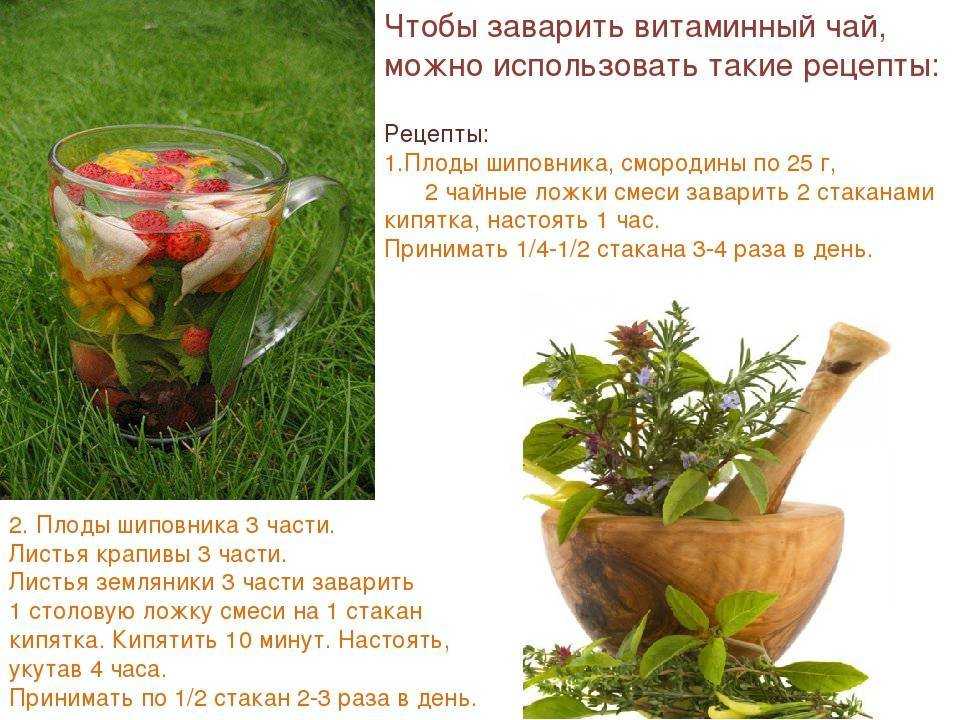 Чайная заварка как удобрение для грунта. особенности спитой заварки