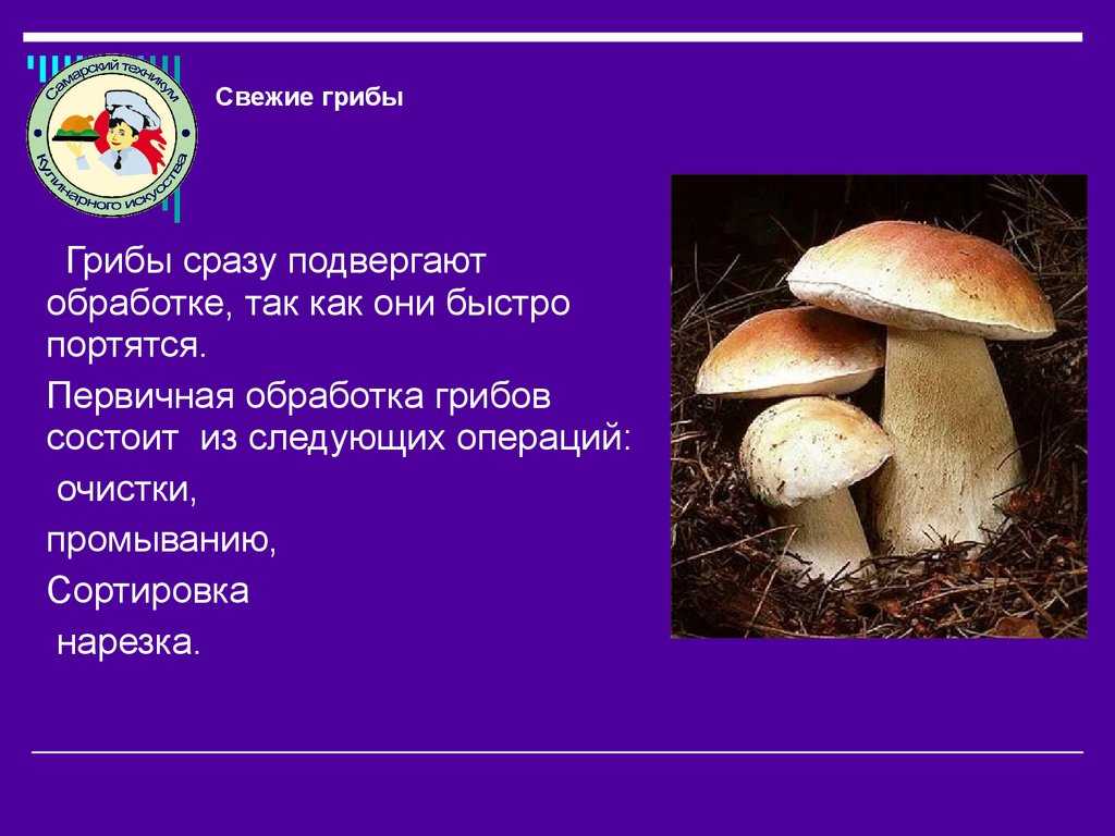 Как правильно хранить белые грибы | что и как хранить