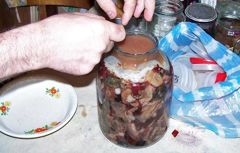 Грузди солёные горячим способом - 7 очень вкусных рецептов на зиму
