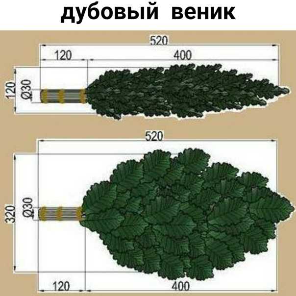 Как хранить веники для бани, как их правильно заготавливать