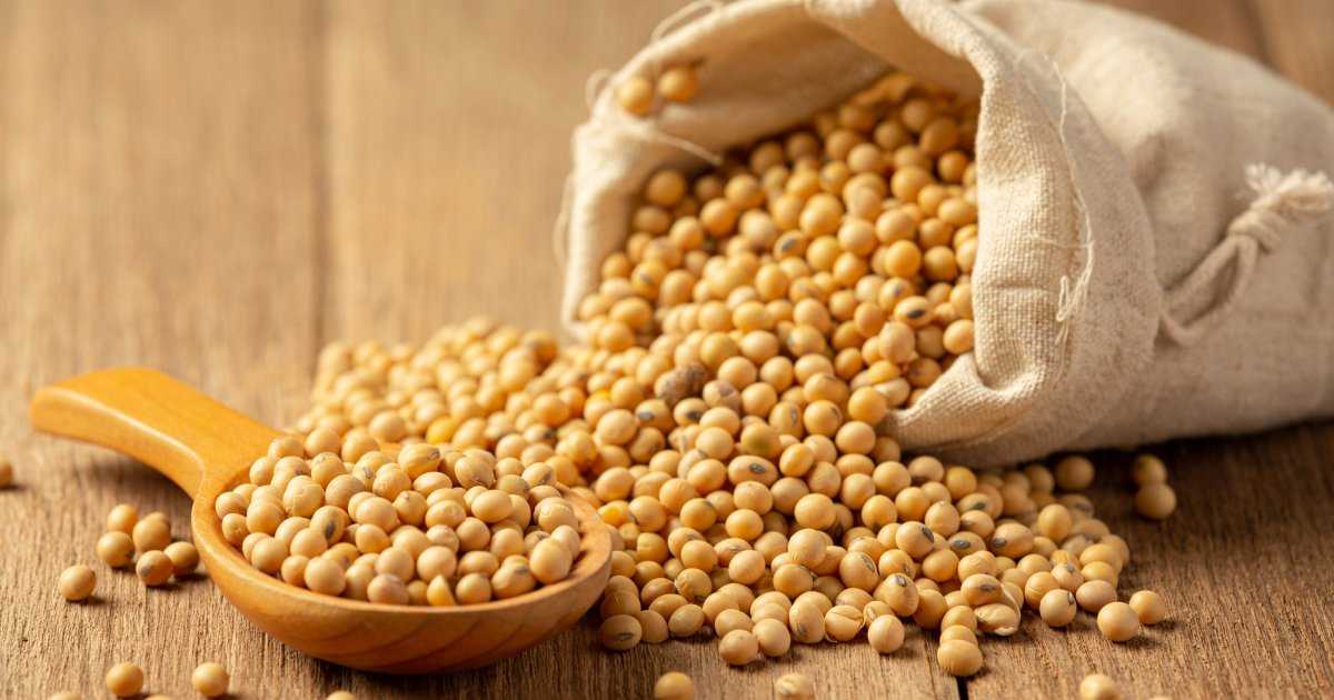20 секретов приготовления вкусного домашнего майонеза