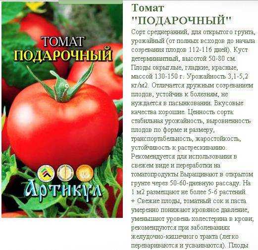 Сорта томатов для длительного хранения в свежем виде и особенности подготовки.
