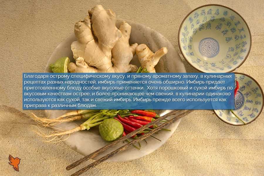 Как и сколько хранить имбирь - база данных сроков хранения
