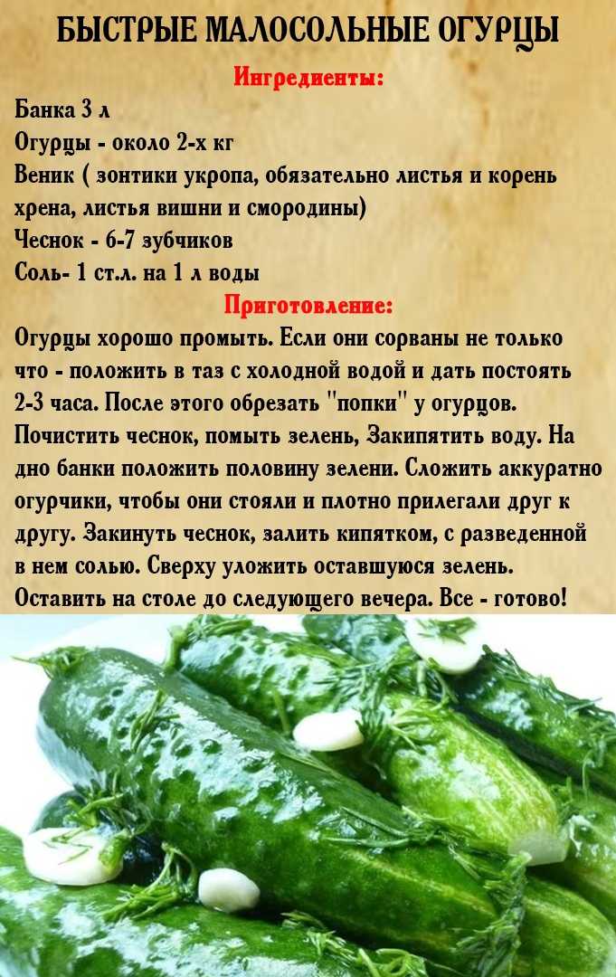 Лучшие сорта огурцов: фото, названия и описания (каталог)