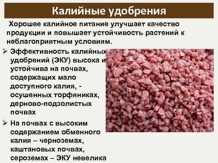 Эффективные калийные удобрения с названиями и дозировками