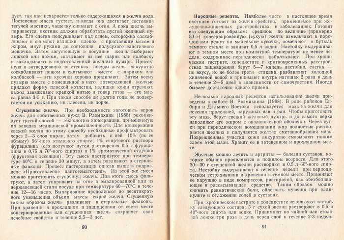 Как вырезать желчный пузырь у медведя