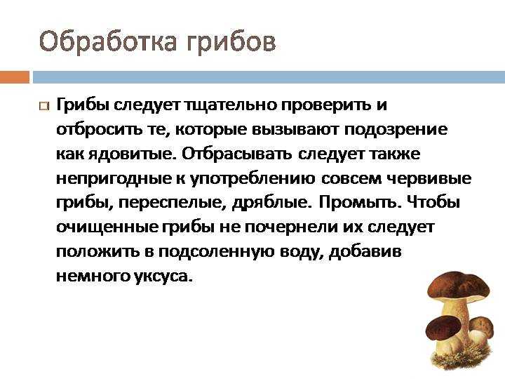 Как хранить разные виды грибов: длительные и краткосрочные методы и способы, как подготовить урожай