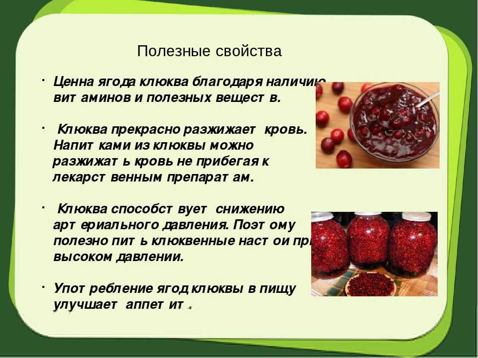 Клюква: полезные свойства для организма человека, рецепты