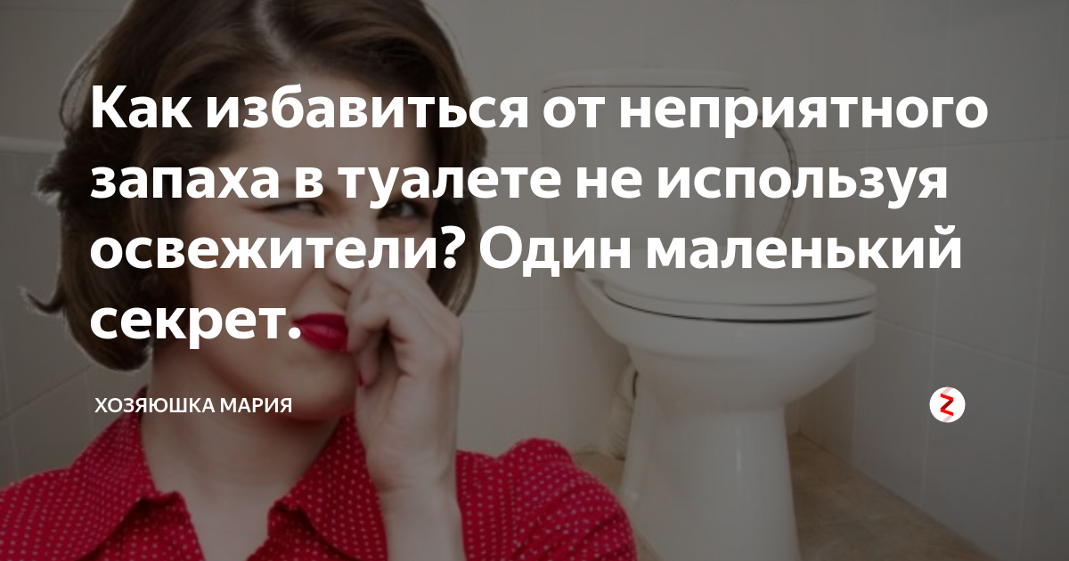 Как убрать запах из туалета: как устранить неприятный аромат из канализации, избавиться от душка народными и специальными средствами?