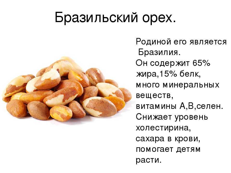 Бразильский орех: польза, вред, состав, рецепты