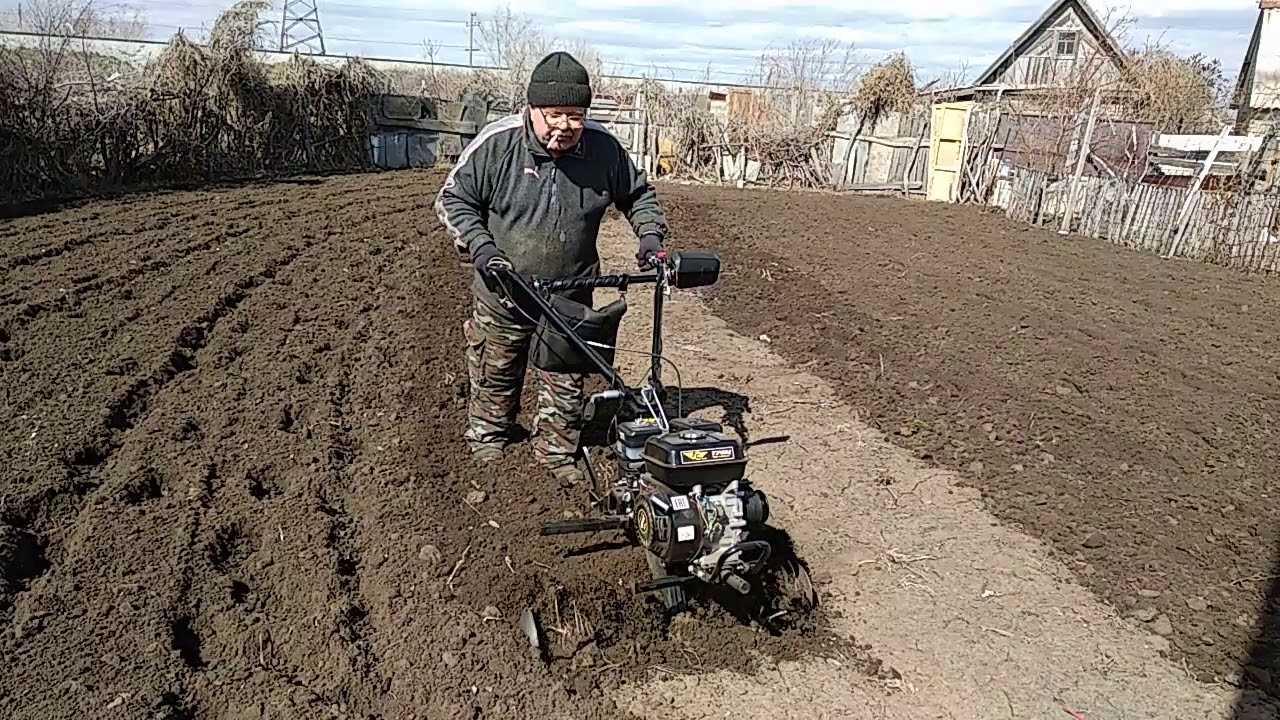 Чем обработать землю от фитофторы перед посадкой весной, как обеззаразить и вылечить грунт, чтобы избавиться от недуга, чем полить почву в теплице после томатов?