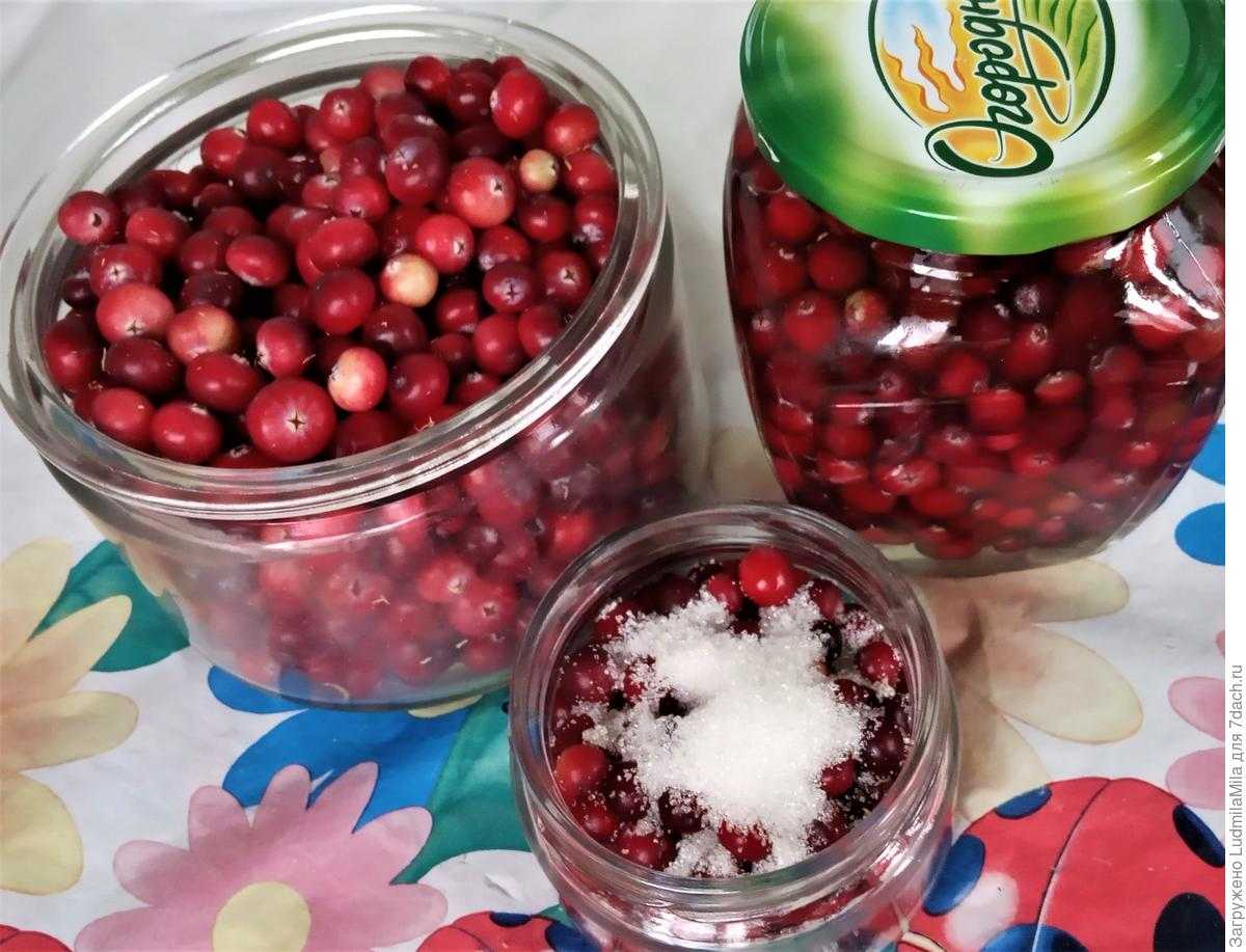 Как хранить клюкву в домашних условиях, способы хранения