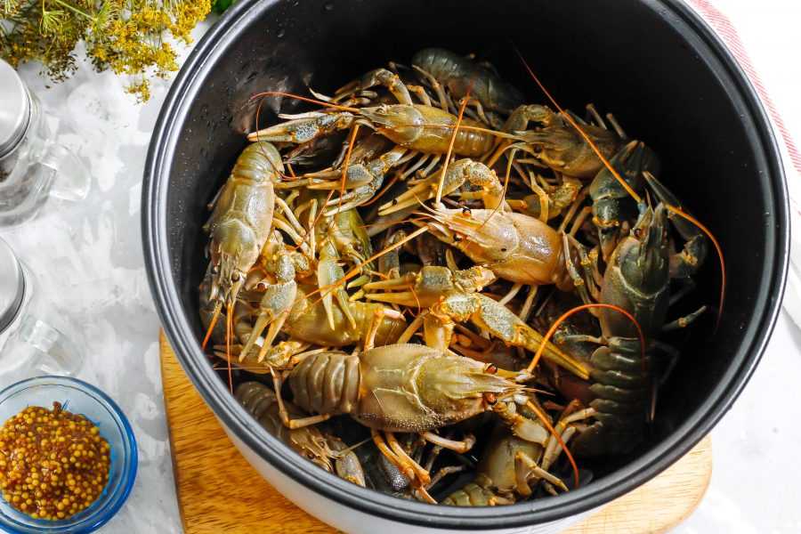 Заморозка раковых шеек + советы, условия, что делать