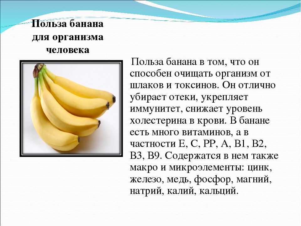 Как хранить бананы в домашних условиях свежими: особенности и способы хранения