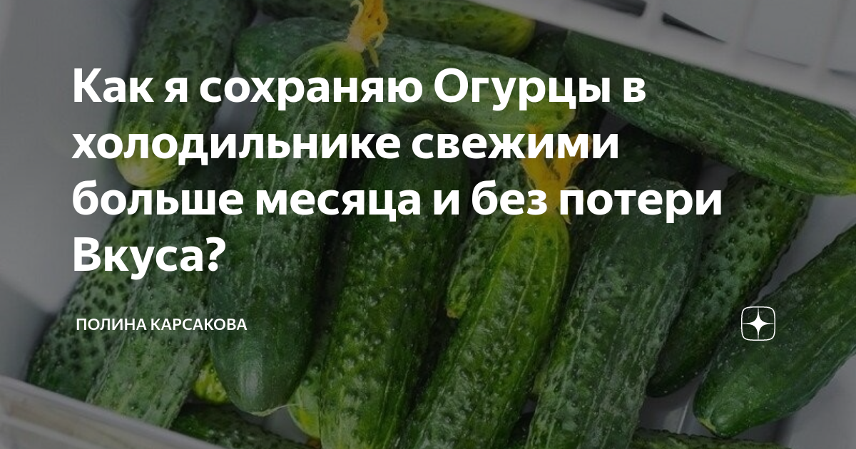 Как хранить огурцы